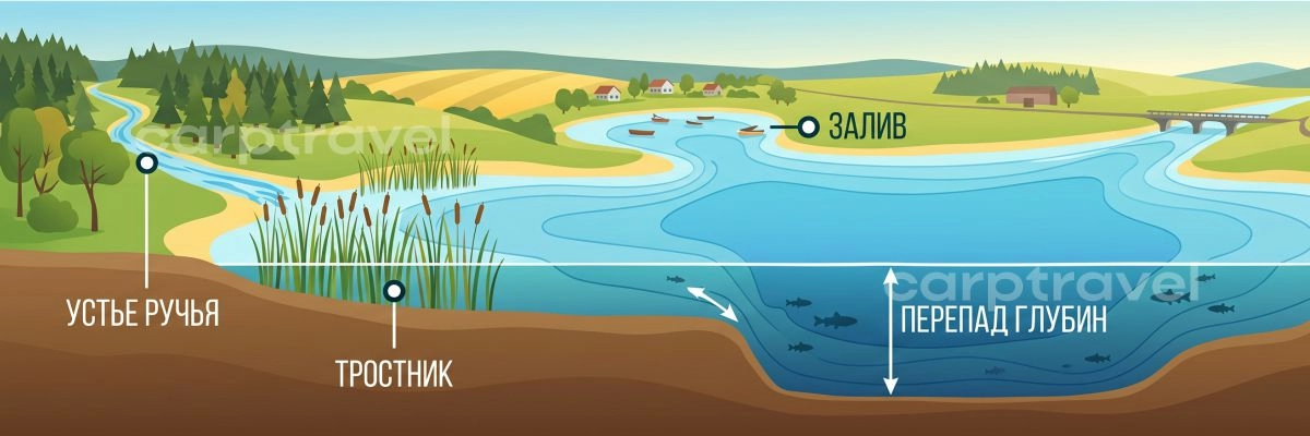 Карта перспективных точек для майской рыбалки на карася