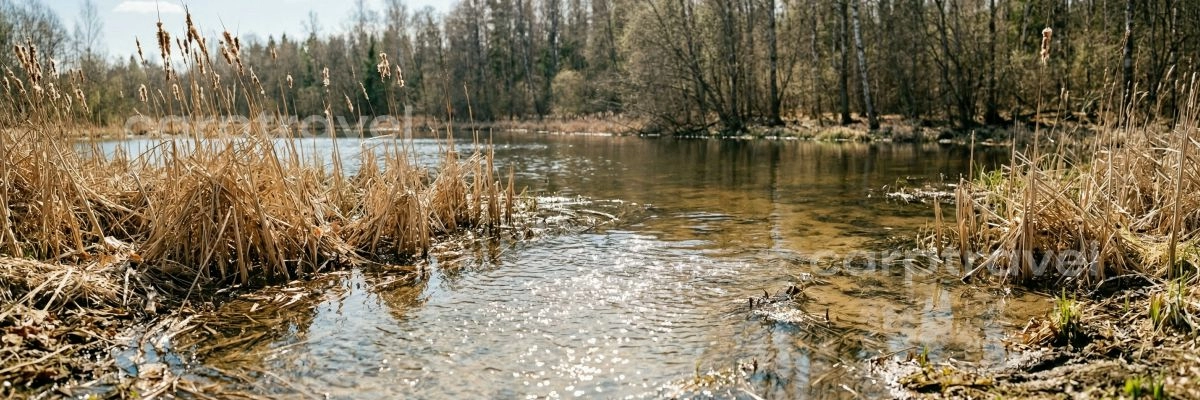 Перспективные точки ловли карпа в начале весны