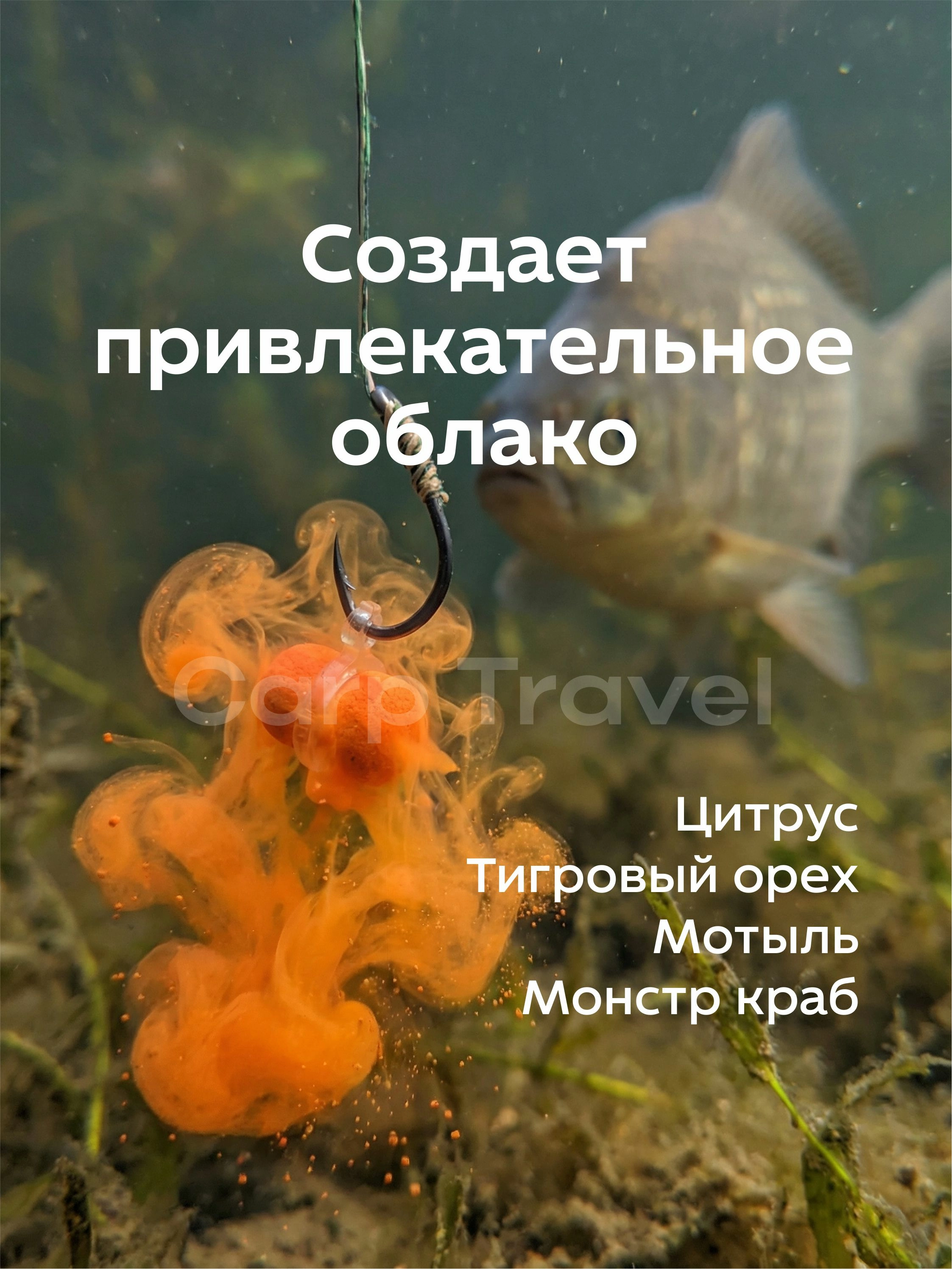Пылящие бойлы на карпа по холодной воде
