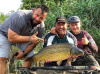 HB0010_9