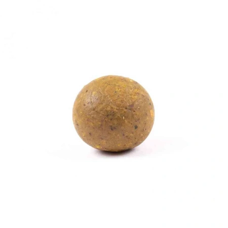HB0001_2